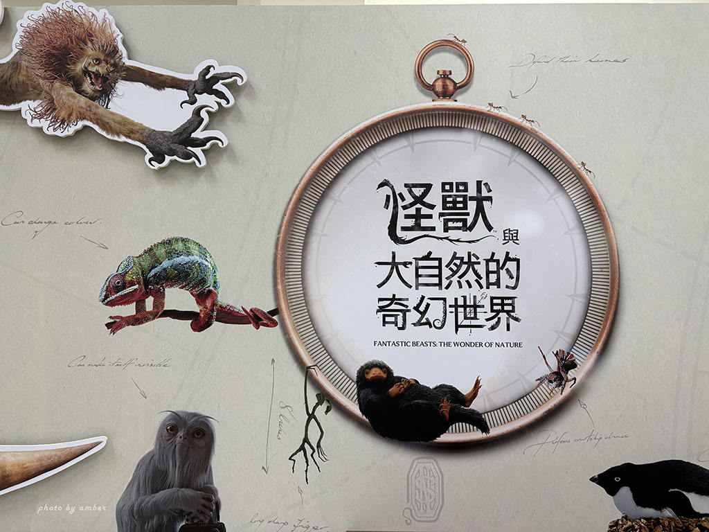 【台北展覽】怪獸與大自然的奇幻世界 展覽心得